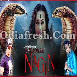 Ichhadhari Nagin - Sambalpuri Song (Bhuban)